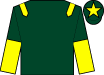 Horse silk