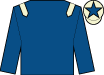 Horse silk