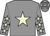 Horse silk