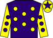 Horse silk