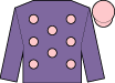 Horse silk