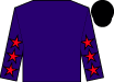 Horse silk