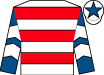 Horse silk