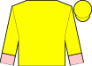 Horse silk
