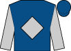Horse silk
