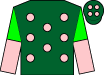 Horse silk