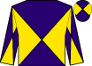 Horse silk