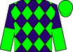 Horse silk