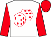 Horse silk
