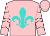 Horse silk
