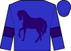 Horse silk