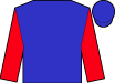Horse silk