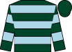 Horse silk