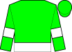 Horse silk
