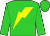 Horse silk