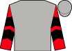 Horse silk