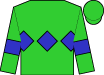 Horse silk