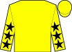 Horse silk