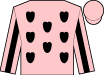 Horse silk