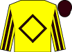 Horse silk