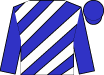 Horse silk