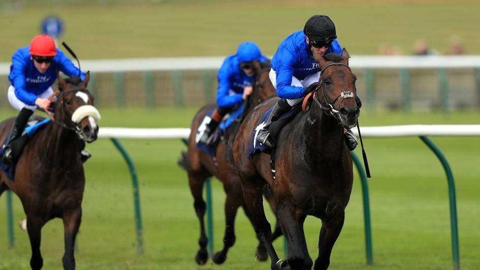  Tamleek impressed at Newmarket