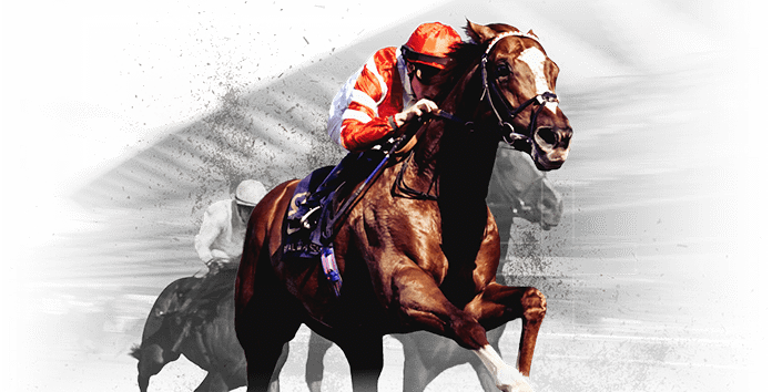 Image of a jockey on a horse